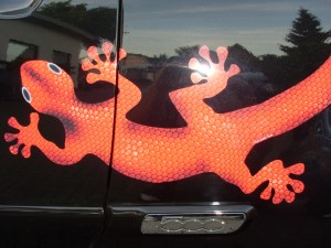 Car design Salamander