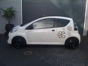 design print Tint your car
